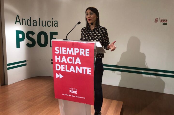 Se-considera-"muy-grave-que-solo-el-4%-del-tejido-asociativo-de-la-provincia-piensa-que-es-posible-recibir-financiación-del-Gobierno-andaluz"