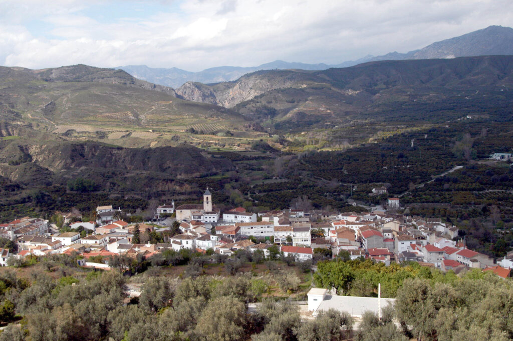 Diez-jóvenes-artistas-podrán-participar-en-las-“Becas-alRaso”