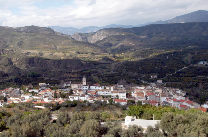 Diez-jóvenes-artistas-podrán-participar-en-las-“Becas-alRaso”