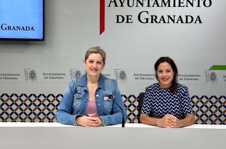 VOX-presenta-una-moción-para-la-mejora-y-mantenimiento-de-los-parques-infantiles-de-Granada