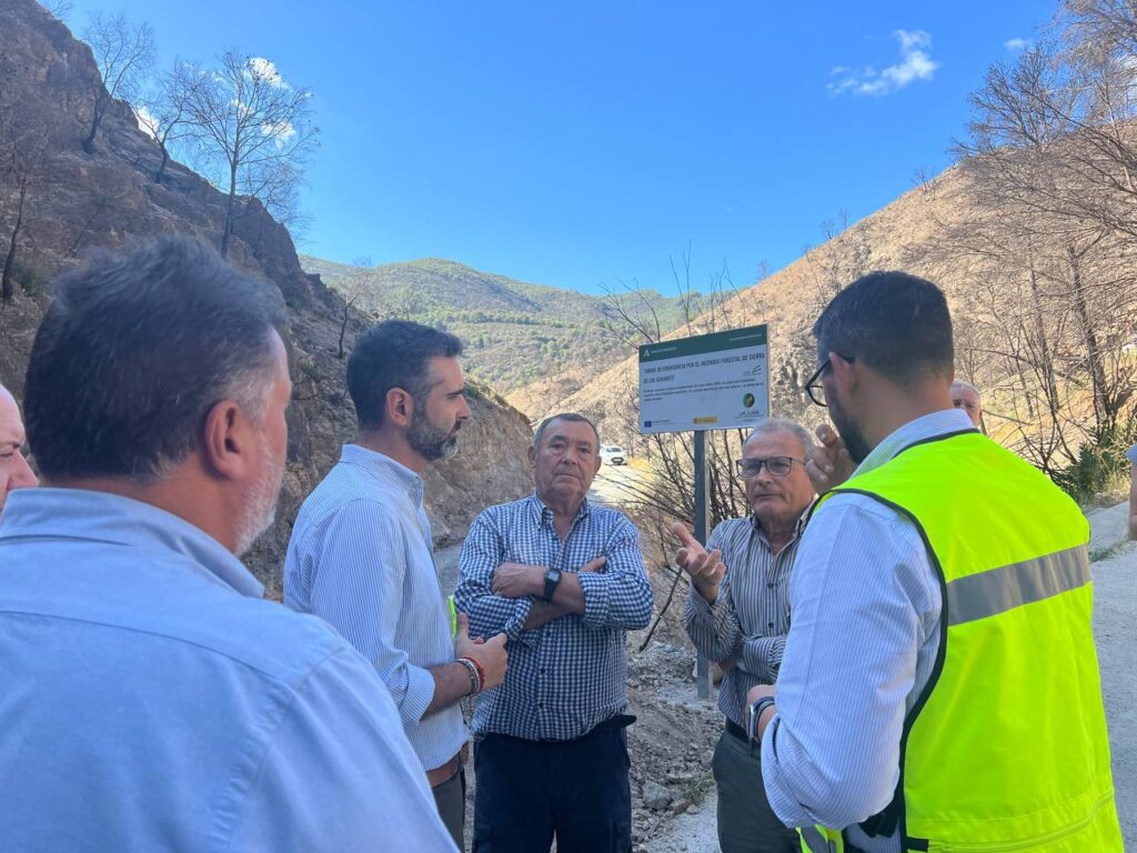 Ejecutadas-en-más-del-95-por-ciento-las-obras-de-emergencia-tras-el-incendio-en-Los-Guájares