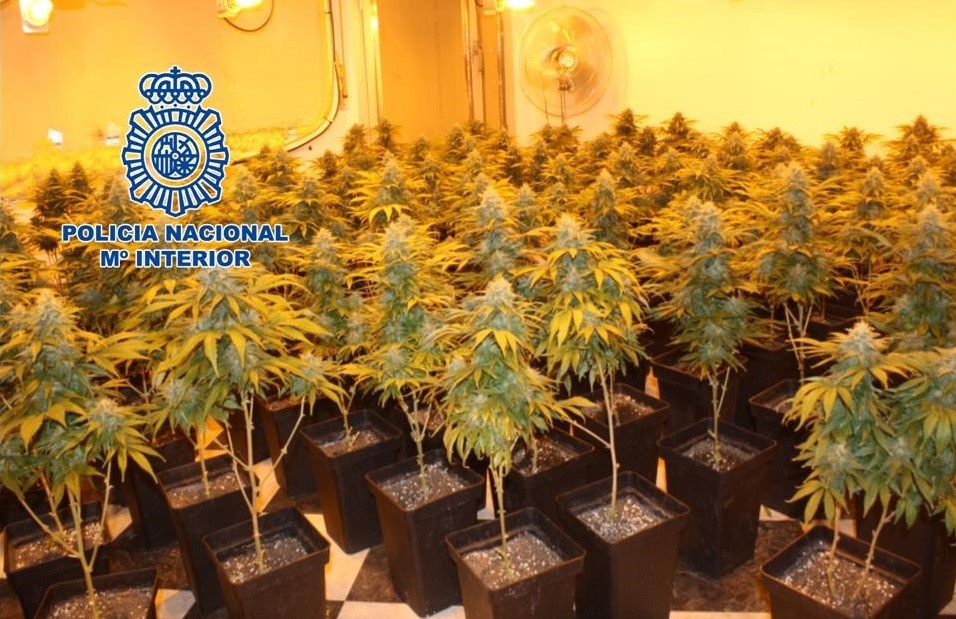 La-Policía-Nacional-desarticula-una-organización-criminal-que-estaría-dedicada-a-la-venta-al-menudeo-de-cocaína,-marihuana-y-hachís