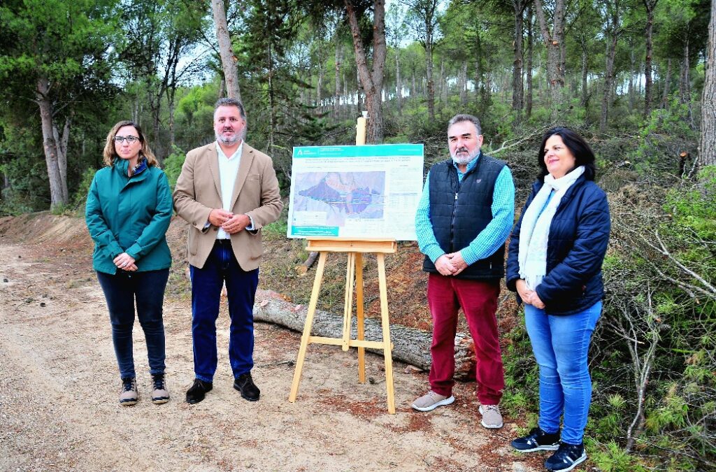 Las-actuaciones-previstas-favorecerán-la-densidad-de-los-pinares-existentes-y-acondicionarán-seis-tramos-de-caminos-forestales