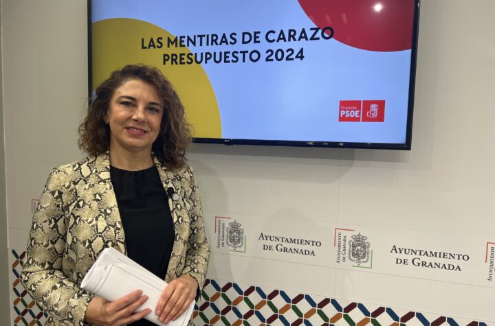 El-PSOE-critica-que-Carazo-tenga-previsto-aumentar-los-impuestos-para-2024