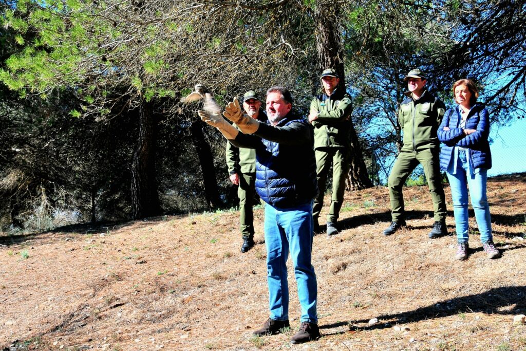 La-Junta-destina-más-de-11-millones-para-adecuar-las-líneas-eléctricas-de-alta-tensión-y-proteger-a-la-avifauna