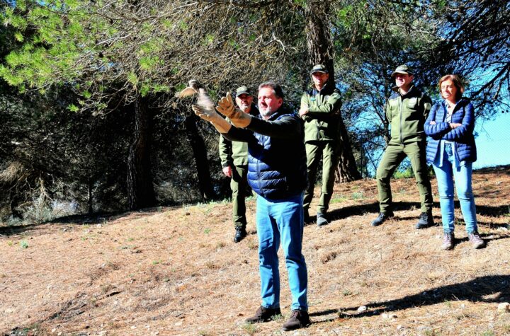 La-Junta-destina-más-de-11-millones-para-adecuar-las-líneas-eléctricas-de-alta-tensión-y-proteger-a-la-avifauna