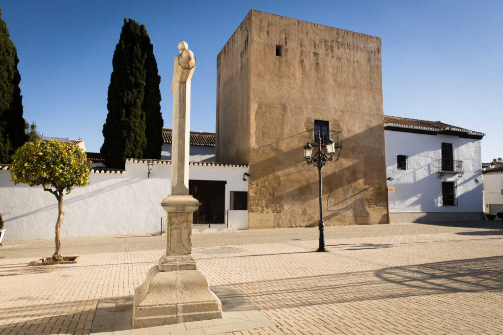 Durante-el-año-pasado,-se-estrenaron-tres-películas-rodadas-en-la-provincia-por-los-directores-J.A.-Bayona,-Víctor-Erice-y-Rocío-Mesa