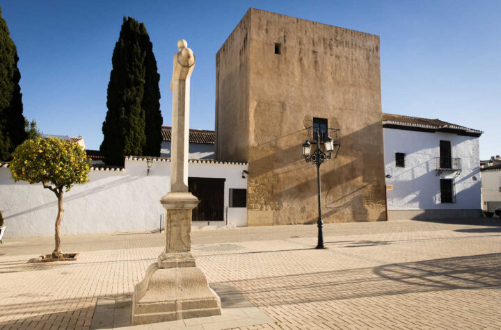 Durante-el-año-pasado,-se-estrenaron-tres-películas-rodadas-en-la-provincia-por-los-directores-J.A.-Bayona,-Víctor-Erice-y-Rocío-Mesa