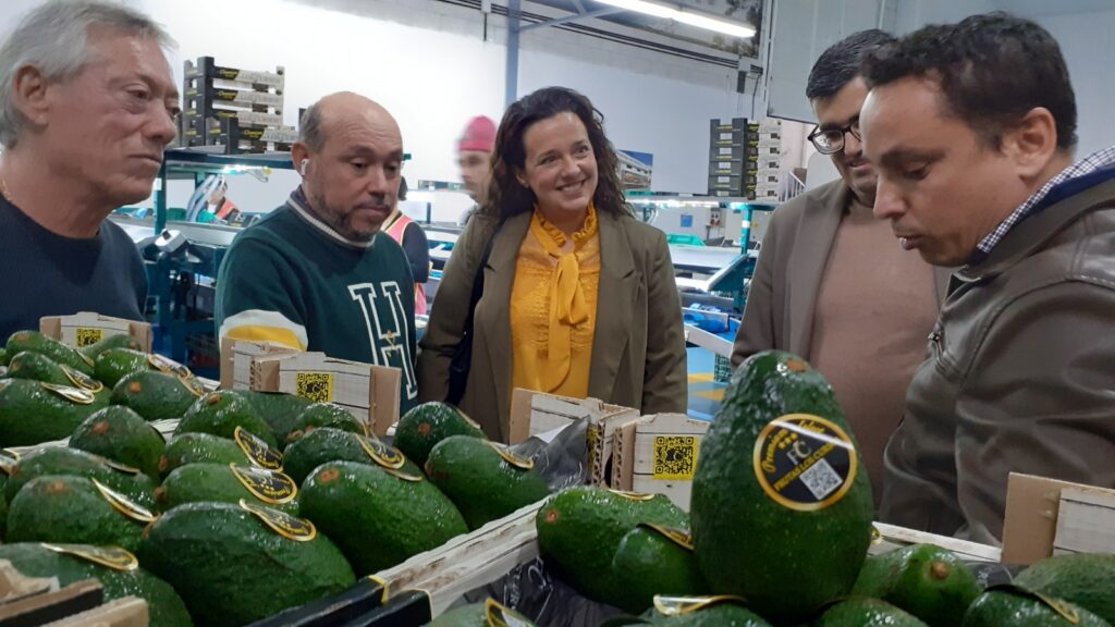 Javier-Martín-visita-una-de-las-3.627-pymes-de-la-provincia-de-Granada-beneficiadas-con-más-de-23-millones-de-euros