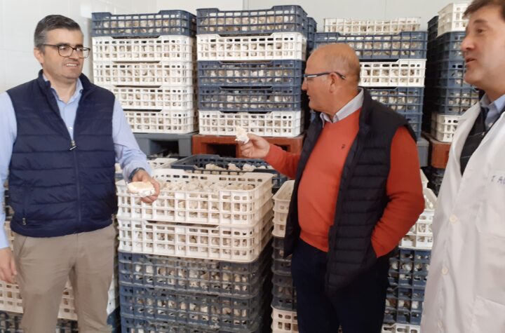 Javier-Martín-visita-la-empresa-de-salazones-cárnicos-Joaquín-Álvarez-García-SL,-especializada-en-la-elaboración-de-huesos-salados-de-cerdo