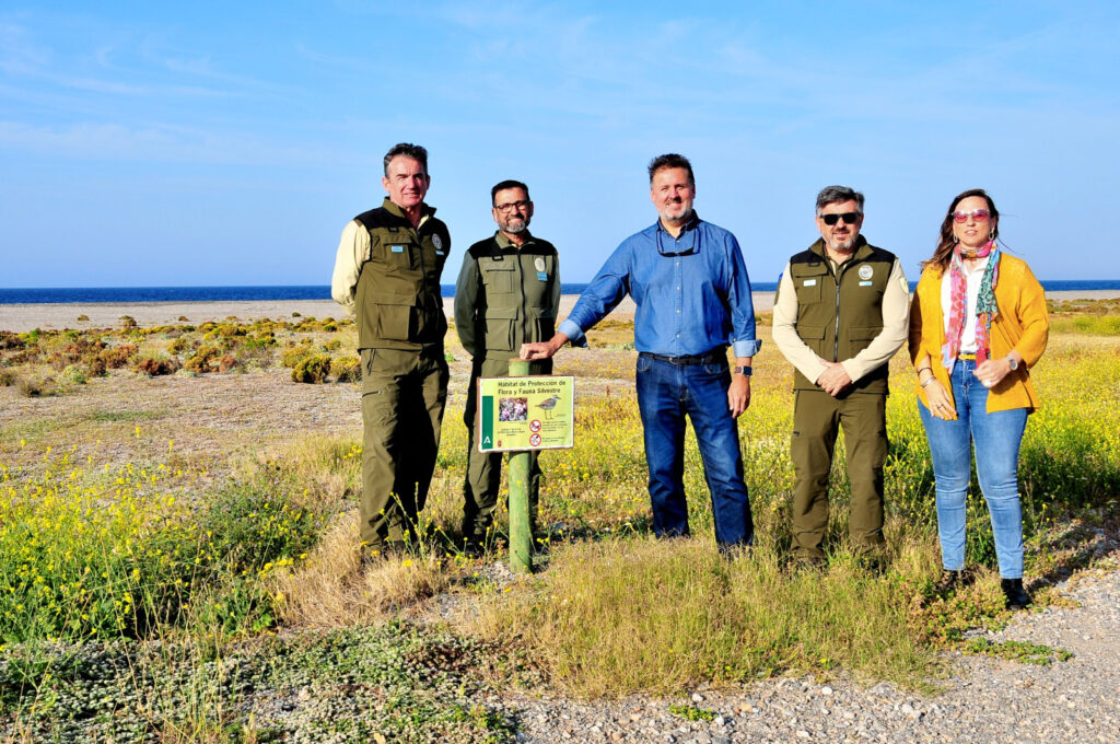 La-protección-del-hábitat-del-chorlitejo-patinegro-en-las-Playas-de-Carchuna-Calahonda-y-Motril-persigue-la-conservación-de-esta-especie