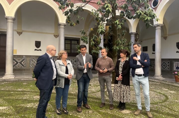 Para-Cuenca,-“la-enmienda-es-una-tomadura-de-pelo-que-constata-que-han-dejado-que-Sevilla-nos-robe-una-de-nuestras-señas-de-identidad"