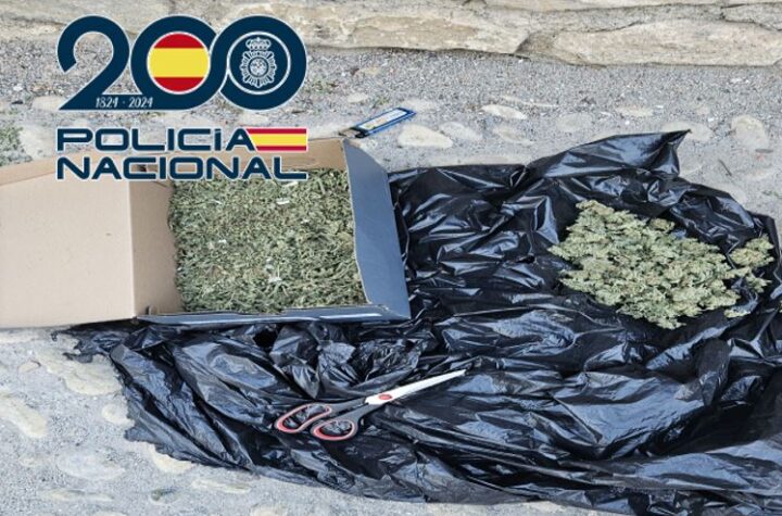 La-Policía-Nacional-detiene-a-dos-individuos-sorprendidos-cortando-cogollos-de-marihuana-en-la-calle