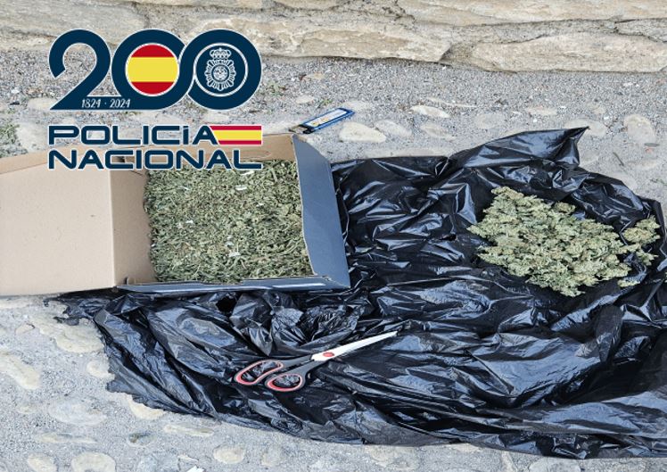 La-Policía-Nacional-detiene-a-dos-individuos-sorprendidos-cortando-cogollos-de-marihuana-en-la-calle