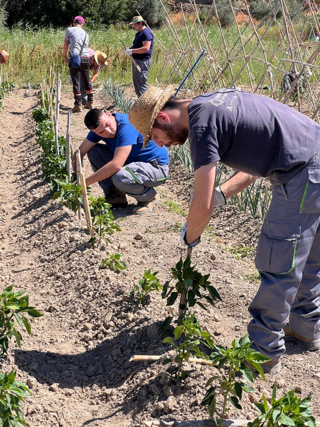 Además-de-recibir-formación-en-agricultura-tradicional,-los-alumnos-participarán-en-una-iniciativa-experimental-sobre-cultivos-hortícolas