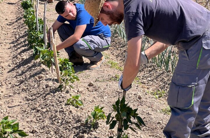 Además-de-recibir-formación-en-agricultura-tradicional,-los-alumnos-participarán-en-una-iniciativa-experimental-sobre-cultivos-hortícolas