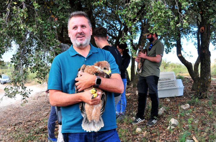 Rescatados-en-situación-extrema-de-supervivencia-de-varios-nidos-de-Andalucía,-estos-pollos-serán-devueltos-al-medio-natural