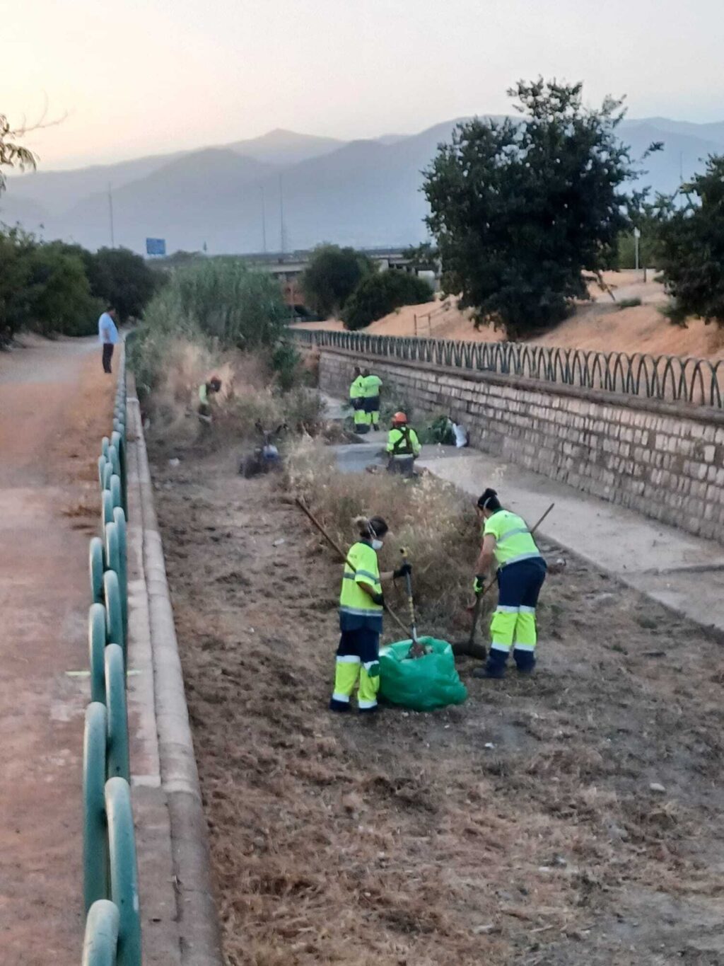 Se-trata-de-una-tarea-respetuosa-con-el-medio-ambiente-que-permite-eliminar-la-maleza-y-los-rastrojos-que-se-generan-durante-el-año