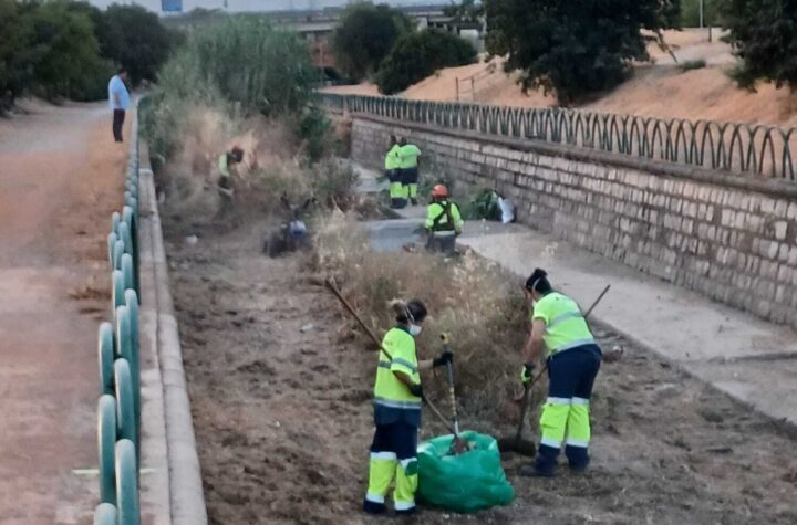 Se-trata-de-una-tarea-respetuosa-con-el-medio-ambiente-que-permite-eliminar-la-maleza-y-los-rastrojos-que-se-generan-durante-el-año