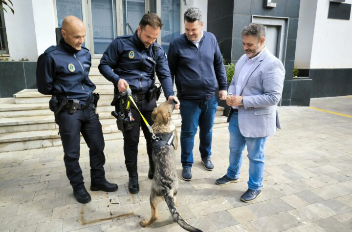 Este-nuevo-agente-canino-simboliza-el-compromiso-del-Equipo-de-Gobierno-con-la-seguridad-ciudadana