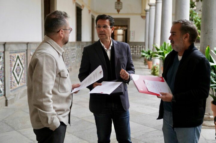 El-PSOE-eleva-una-batería-de-declaraciones-institucionales-con-el-objeto-de-buscar-el-consenso-en-los-grandes-problemas