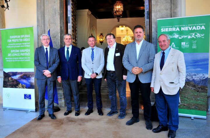 Andalucía-busca-reforzar-su-liderazgo-en-conservación-con-el-que-sería-su-segundo-espacio-distinguido-tras-Doñana