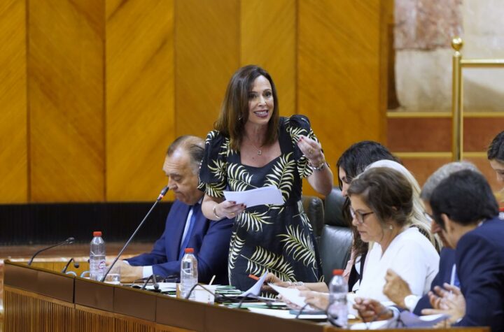 La-futura-conexión-cuenta-con-una-inversión-de-87-millones-de-euros-y-prevé-una-demanda-de-dos-millones-de-viajeros-anuales