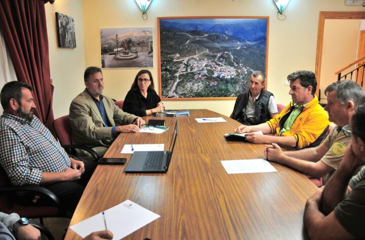 Sostenibilidad-y-Medio-Ambiente-actúa-en-el-monte-público-con-tratamientos-selvícolas-y-trabajos-en-infraestructuras-cortafuegos